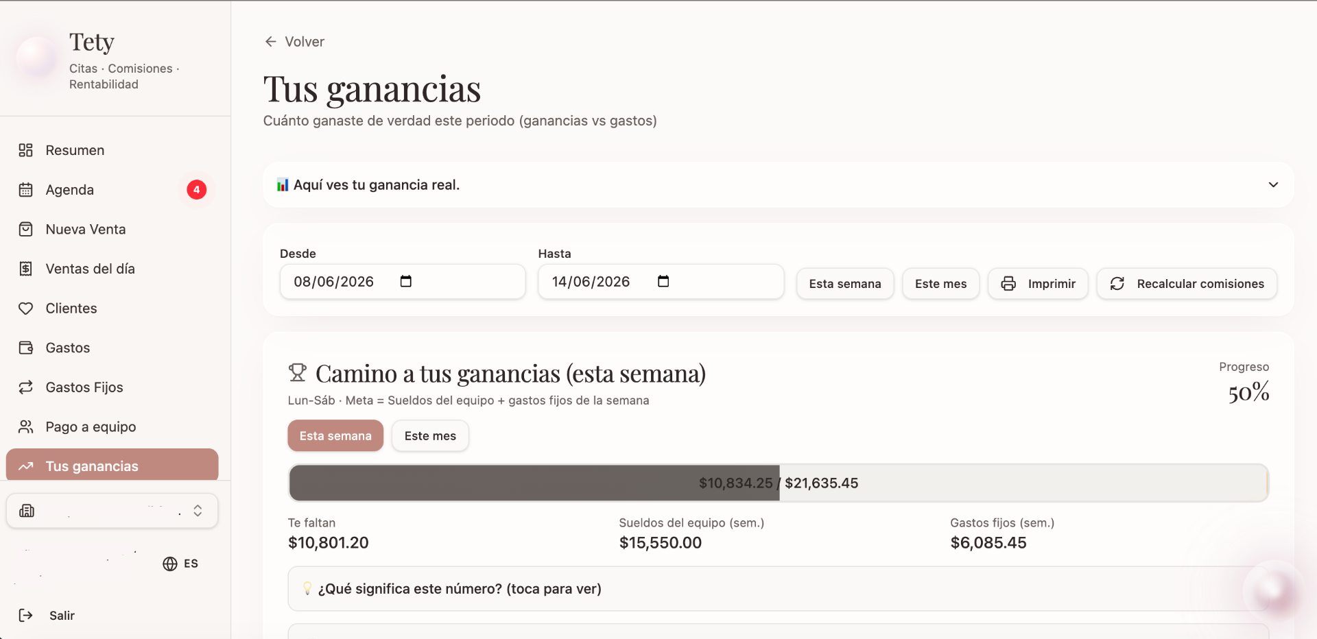 Vista previa del reporte de utilidad de Tety
