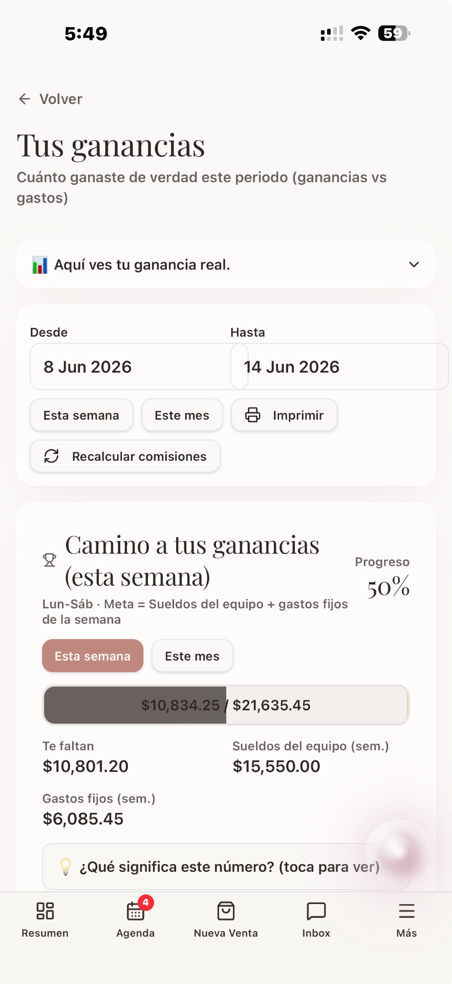 Vista previa del reporte de utilidad de Tety